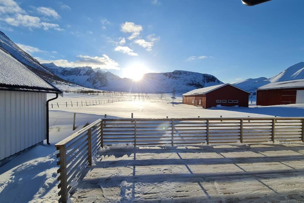 Arctic Lodge Tromvik With Jacuzzi Tromsø Esterno foto